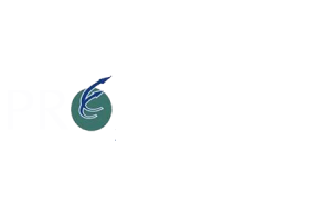 Proambiental